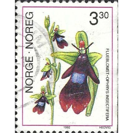NORWAY, FLOWER, Fly Orchid, Ophrys insectifera, white 1992, 3.40kr