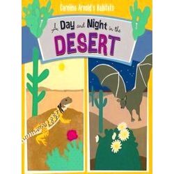 A Day And Night In The Desert