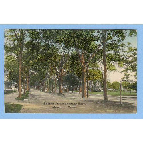 CT Madison Boston ST Looking East Tree Lined Unpaved Road w/Old Houses and~515