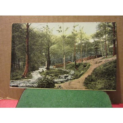SHIPLEY GREEN, BRADFORD, YORKSHIRE antique postcard by Woolstone Bros =