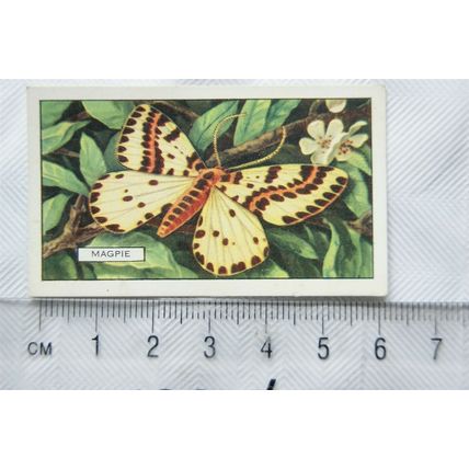 1938 Gallaher's Butterflies & Moths No. 33 Magpie