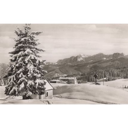 Winklmoos Alpengasthof Pension in Snow RPC German Postcard