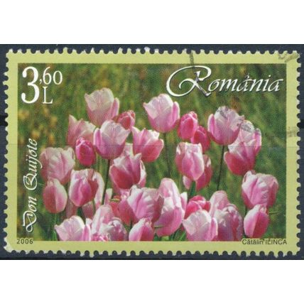 Tulips: 3.60L - Romania 2006 - F H - MiNr 6060