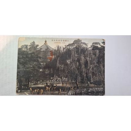 DEER SCENE, HAND TINTED. 1918 - 1933 (388)