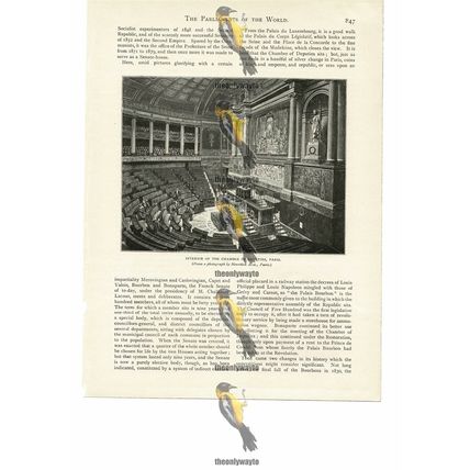 Chamber Of Deputies, Paris, France, Book Illustration (Print), 1894
