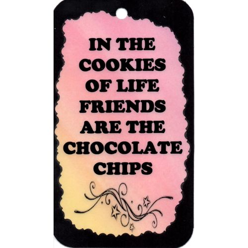 2076 Inspirational Sign Cookies Friends Chocolate Chips Saying Magnet Gift