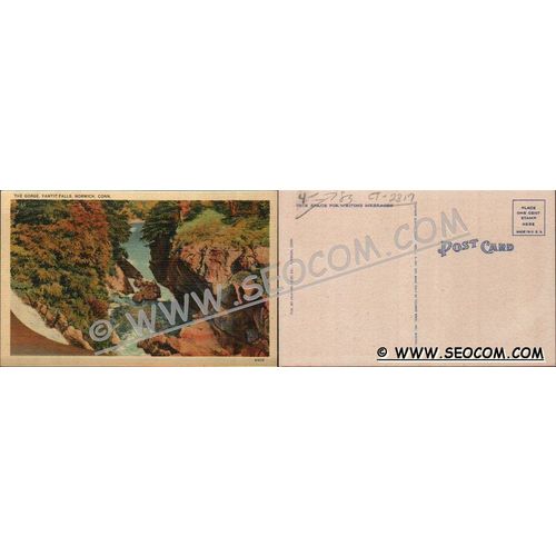 CT Norwich Postcard The Gorge Yantic Falls ct_box4~2317