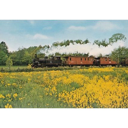 Anten Grafsnas Jarnvag Alingsastrakten 3039 Swedish Train Rail Postcard