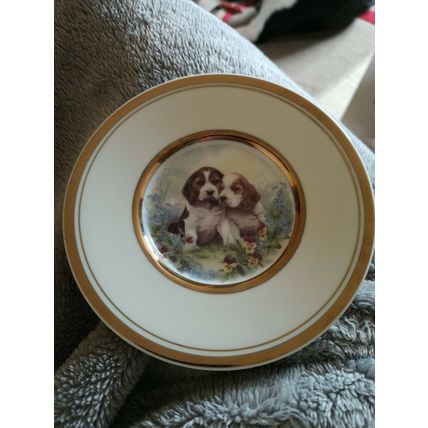 Shudehill Collectors Plate Two Dogs