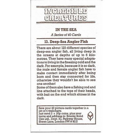 Incredible Creatures 1985 Brooke Bond Tea Card 13 - Deep-Sea Angler Fish
