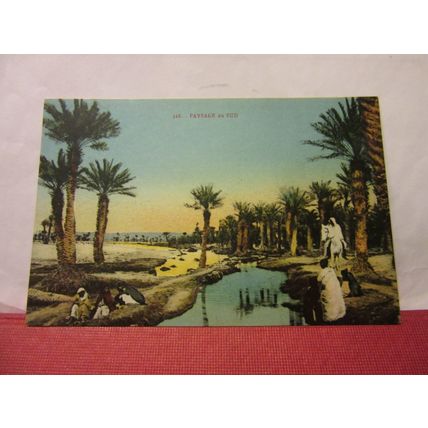PAYSAGE de SUD, FRENCH ALGERIA unused antique postcard, =