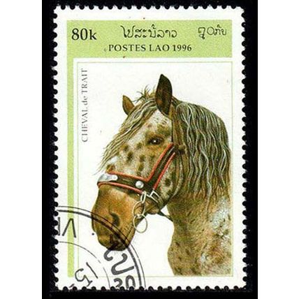 Laos 1996 Horse 80K Used Stamp bl