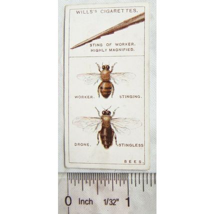 1922 Wills Do You Know No. 5 why Bees Sting and why they Hum?