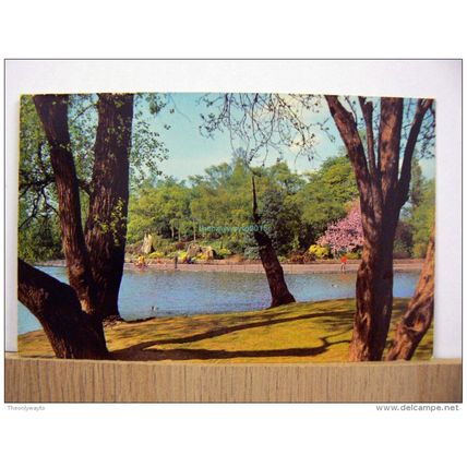 Lake In Abbey Park, Leicester, Leics, England, Postcard