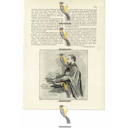 Charles H Lloyd, Musician, Book Illustration, 1894