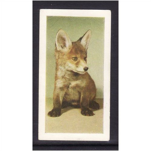 HORNIMANS PETS FOX CUB No 9 Mint