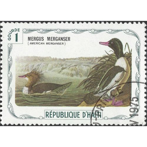 HAITI, BIRD, Merganser, Mergus Merganser , green-black 1975, 75c