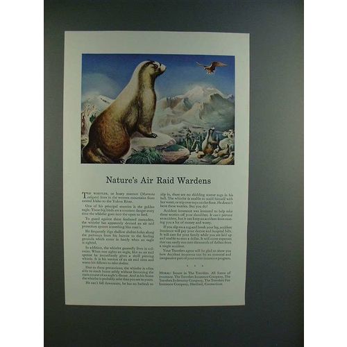 1943 Travelers Insurance Ad, The Whistler, Hoary Marmot