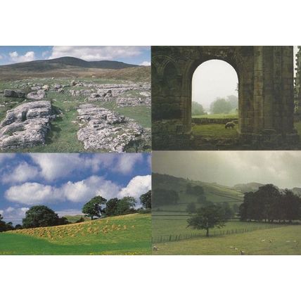 Dentdale Ingleborough Ribblesdale Sheep Bolton Abbey 4 Yorkshire Dales Postcard