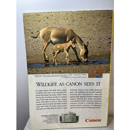 National Geographic Magazine April 1998 Prairie Dog - Vintage Collectable