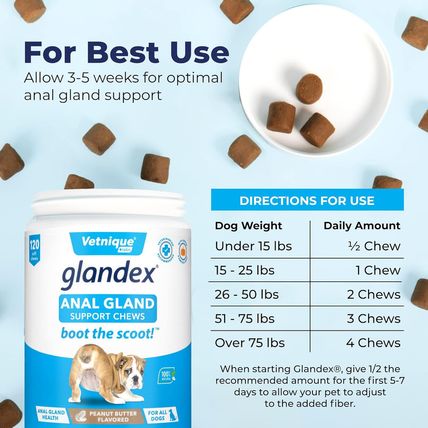Vetnique Glandex Anal Gland Soft Chew Treats with Pumpkin for Dogs Digestive Enz