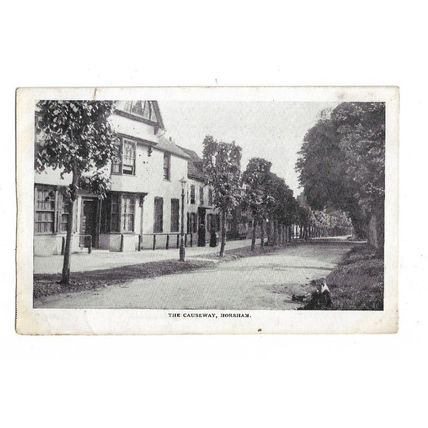 The Causeway, Horsham, Surrey, Postcard.