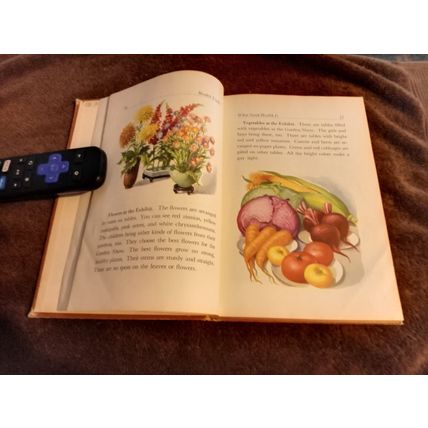 Old Vintage Basic Reader Health Trails The Road To Health By Edwina Jones 1949