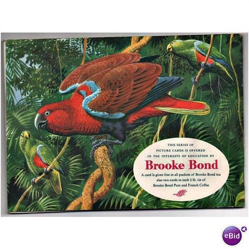 Complete 50 card Brooke Bond collector album Tropical Birds