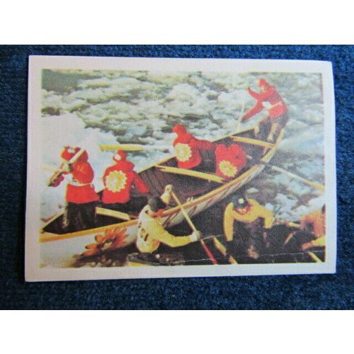 Unusual Sports 1968 ~ Jacques Chocolates Belgium Sports Sticker Variants (e9)