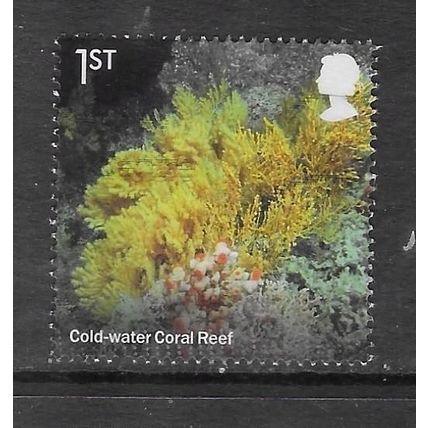 2021 Wild Coasts - cold water coral reef - used