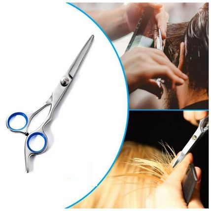 2PCS Professional Hairdressing Scissors Set Barber Hair Cutting Thinning+Bag UK