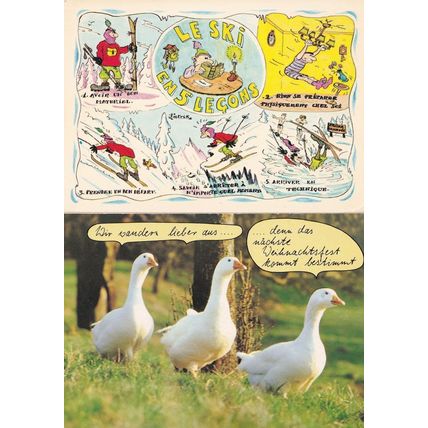 French Skiing Swans Birds 2x Comic Postcard s