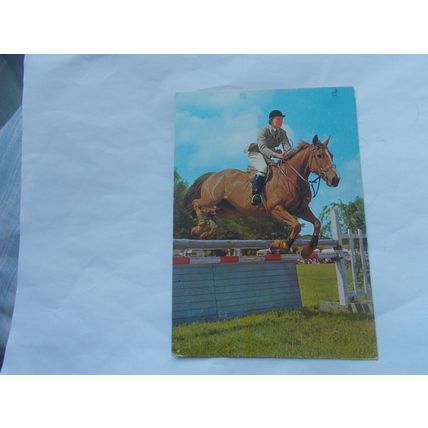 HORSES X 6 (07/02)