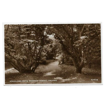 Cromer, Woodland Path, Warren Woods, Norfolk, RP Postcard.