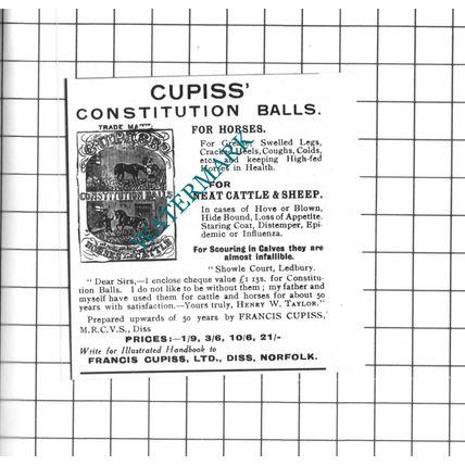 Francis Cupiss Ltd Diss Norfolk Small Advert - 1914 Clipping