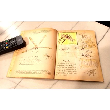 Old Vintage Little Golden Activity Book Insect Stamps (A) First Edition 1958