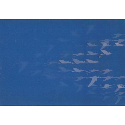 EU European Presidency 3D Political 2005 Voting Three Dimensional Postcard