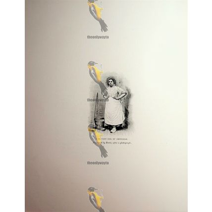 Servant Girl, Amsterdam, Bazin, Book Illustration (Print), 1892