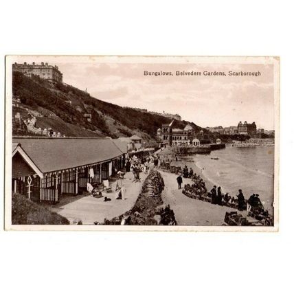 Postcard - BUNGALOWS, BELVEDERE GARDENS, SCARBOROUGH Unposted