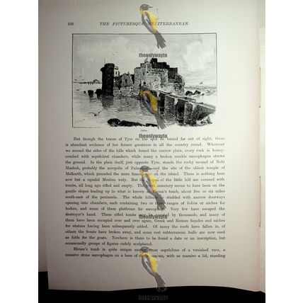 Ruins Of Sidon, Now Lebanon, Book Illustration (Print), 1890