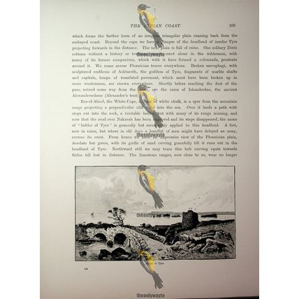 Ruins Of Tyre, Now Israel, Book Illustration (Print), 1890