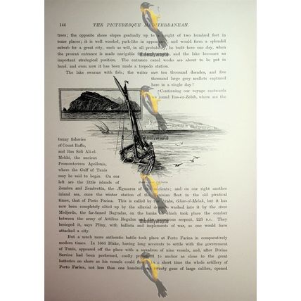 Zembra And Zembretta, Tunisia, Book Illustration (Print), 1890