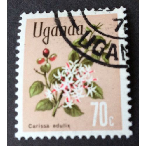 Uganda 1969. Flowers. SG 139. 70c. Carissa edulis. fine used