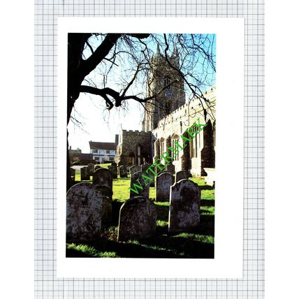 Stoke-by-Nayland Church Suffolk - 1980s Cutting / Print