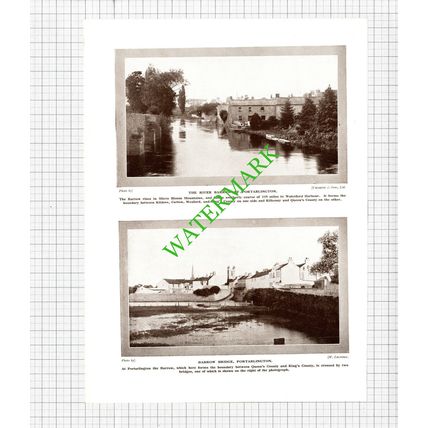 Portarlington Scenes Ireland - 1920's Cutting / Print