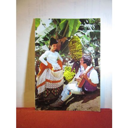 BANANA TREES, GRAN CANARIA, SPAIN used postcard dated 1976 =