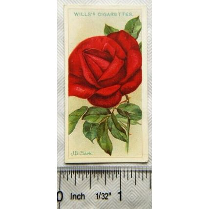 1912 Wills Roses No. 33 J. B. Clark