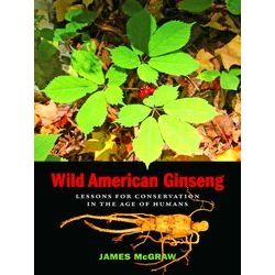 Wild American Ginseng
