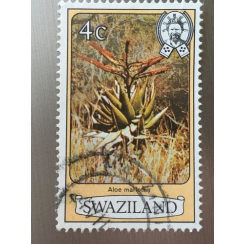 Swaziland QEII 1980 Flowers 4c Aloe Marlothii Used SG 343A Sc 349 postage stamp