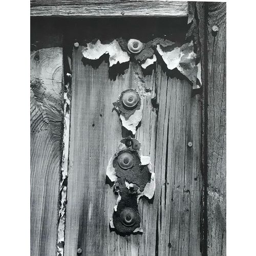 Eliot Porter Photo Print Details Cabin Animas Forks CO Americana wall art poster